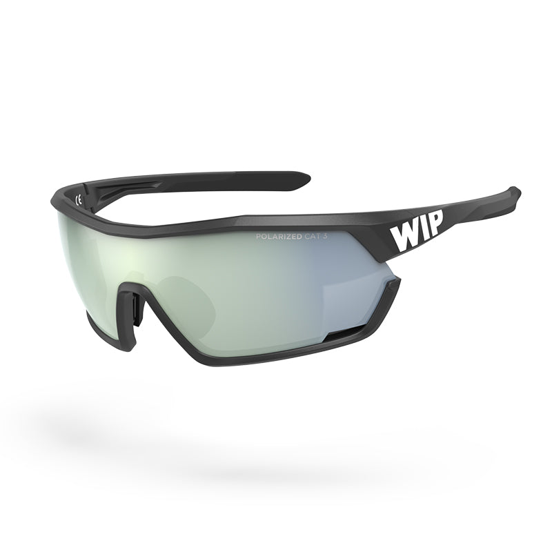 100 percent polarized best sale sunglasses