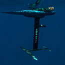 Foil Drive x North Integrated Sonar AF80 Mast