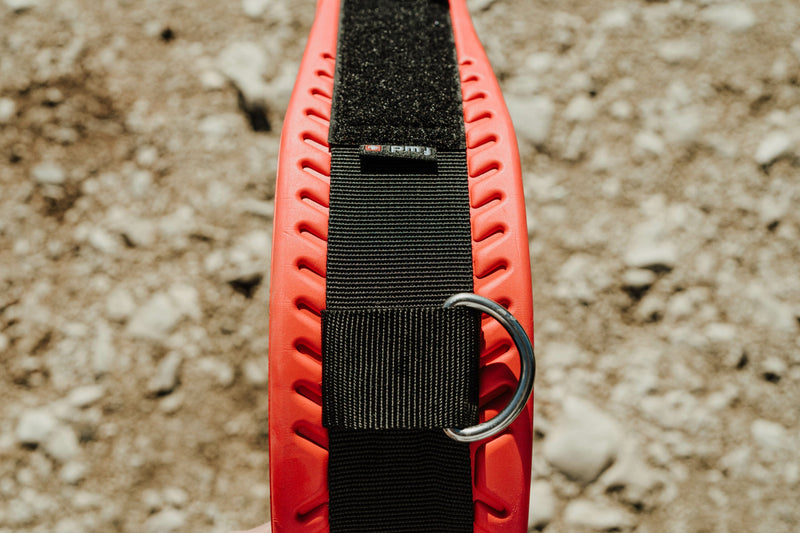 WIP Water Protection Wing Harness Belt 2.0