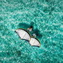 Core Halo Pro Aluula Wingfoil Hand Wing