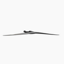Duotone Front Wing Carve 3.0 D/LAB