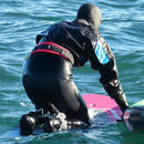 WIP Water Protection Wing Harness Belt 2.0