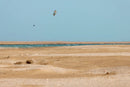 2026 Duotone Rebel SLS Kite
