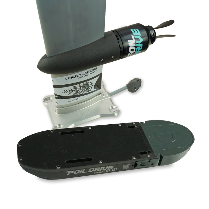 Foil Drive Assist Slim X Cedrus Integrated Mast