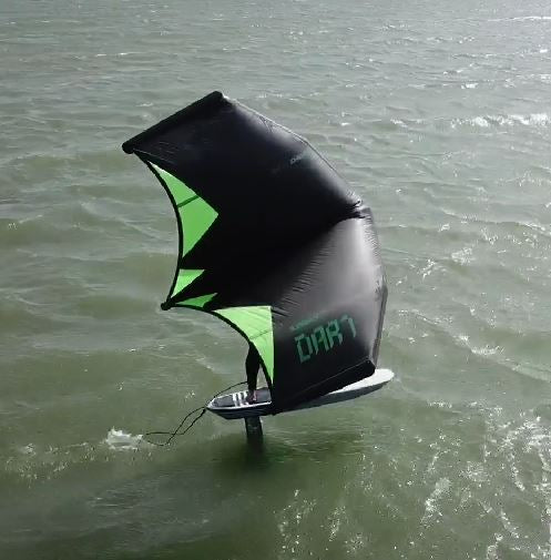 Wing Foil Lessons (Per session)
